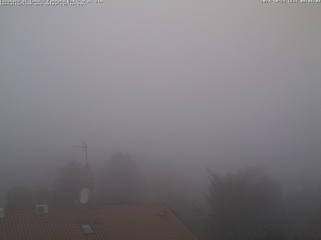 webcam ferrara