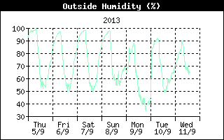 grafici ferrara