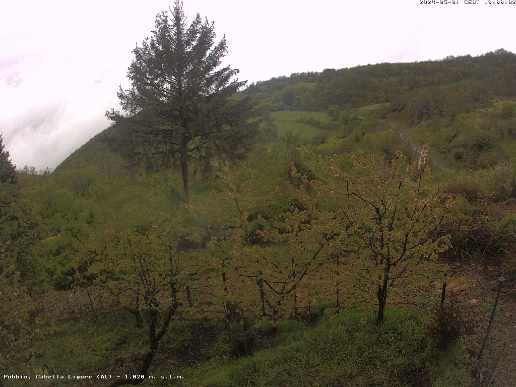webcam Pobbio, Cabella Ligure (AL)