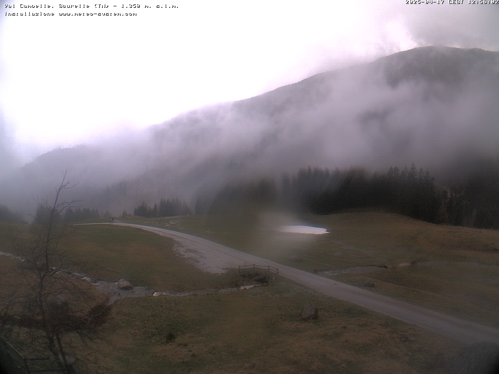 Webcam di Val Campelle